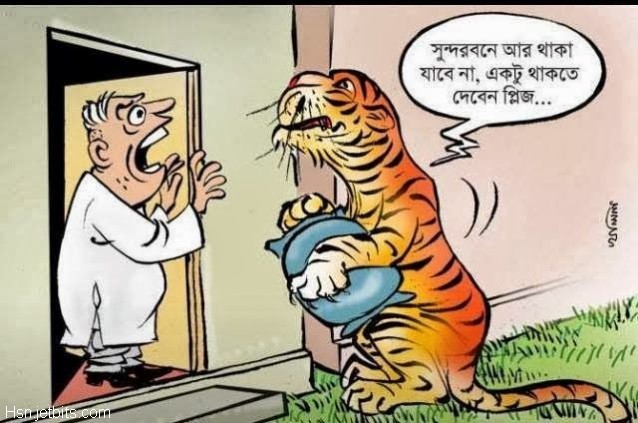 Tiger man