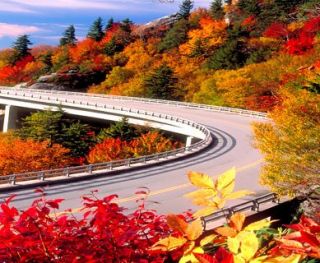 Road View