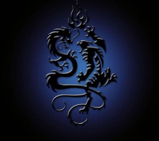 bluedragon b5daa37d12603559