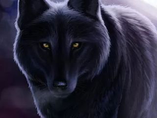 Dark wolf