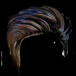 Hair style png