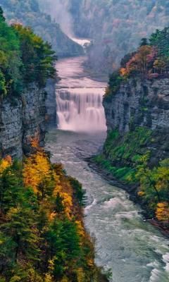 Nature