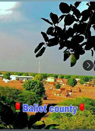 Baliet co