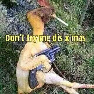 This xmas