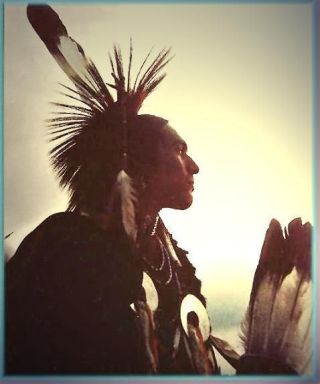 Native Am