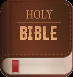 Bible New Testament 
