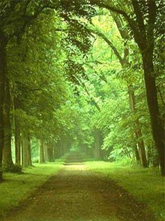 Pathway