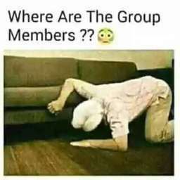 Where is my fans
