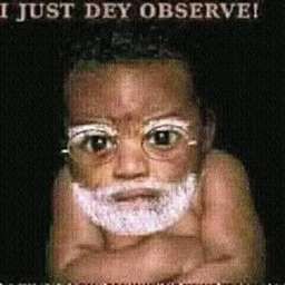I just dey observe