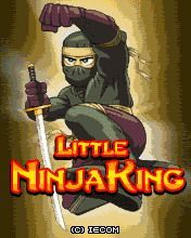 Tiny ninja