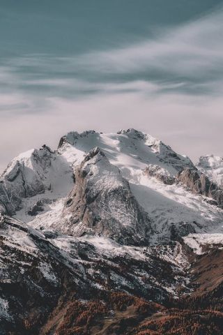 pexels photo 1366919