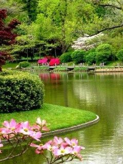 Picturesque engagement