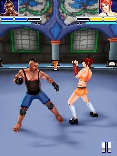 The fight 3D