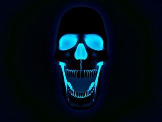 3D skull