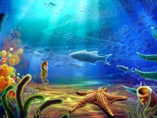 Underwater landscape