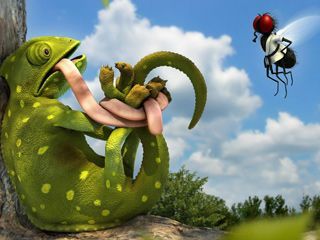 3D chameleon