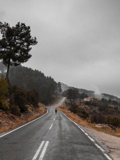 wp untitled 44224