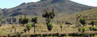 images 11