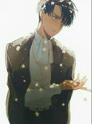 Cute levi
