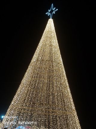 Light