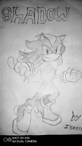 Shadow
