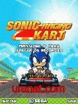 sonic racing kart 240x320 148163