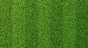 field