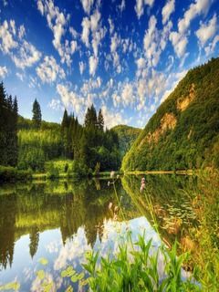 Nature