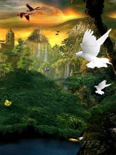 Nature