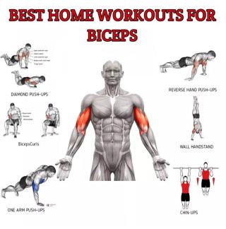 Arm-Biceps