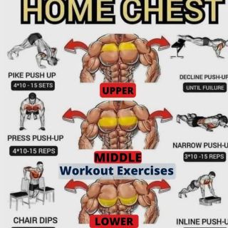 Chest