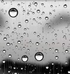 Rain drops