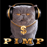 Rich Cat