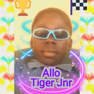 Allo Tige