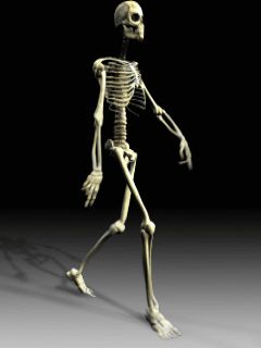skeleton