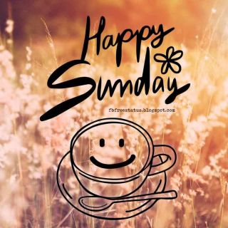 Happy sunday guys
