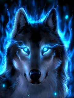 wolf