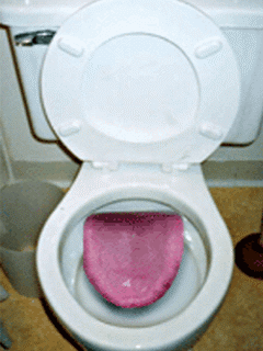 tonguetoi