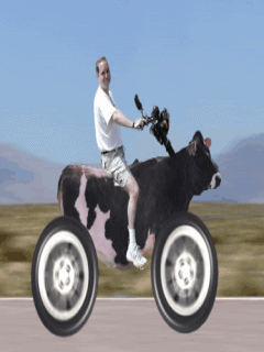 motocycle