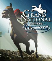 Grand national horse race