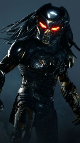 Predator