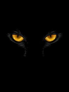 Eyes.Dark