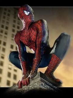 Spider ma