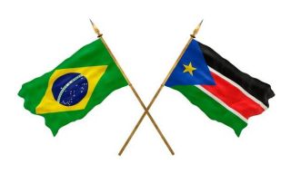 background designers national day 3d model national flags people s republic brazil south sudan 659987 19327