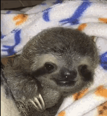 Cute