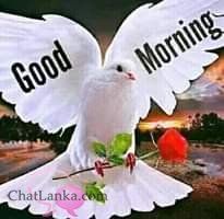 G m