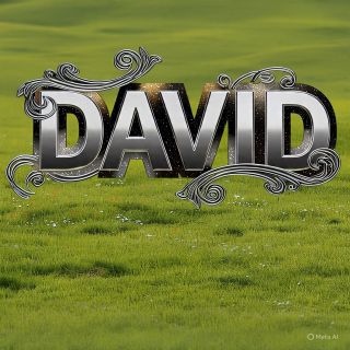 IMG 20250703 WA0008
