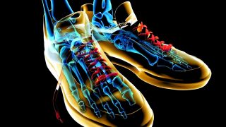 Skeleton sneakers