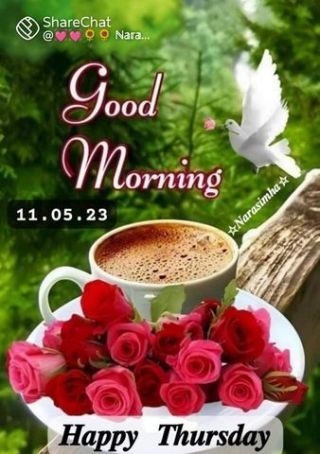 Good morning, Happy Thursday