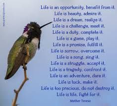 Mind Says